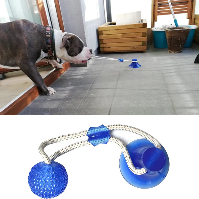 Dog Interactive Toys with Suction Cup