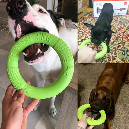 Interactive Training Puller Resistant Dog Toys