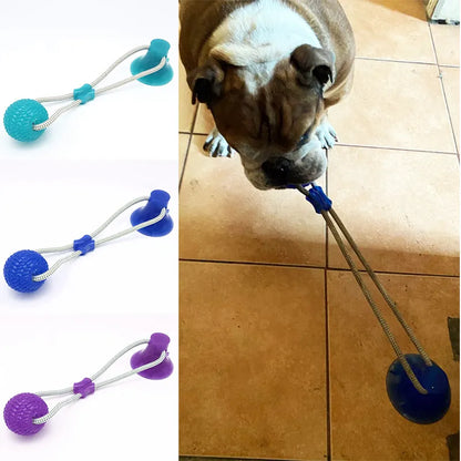 Dog Interactive Toys with Suction Cup