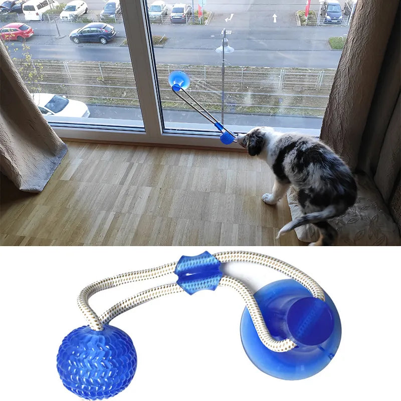 Dog Interactive Toys with Suction Cup