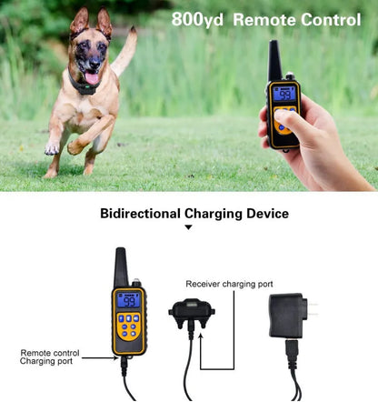 Electric Dog Training Waterproof Dog Collar with Remote Control