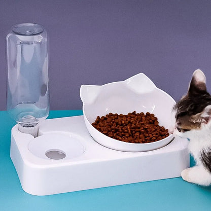 Automatic Pet Food and Drinking Feeder