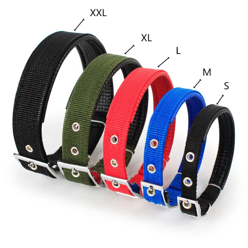 Solid Nylon Dog Collar