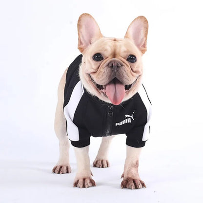 Plus Size Pet Dog Clothes