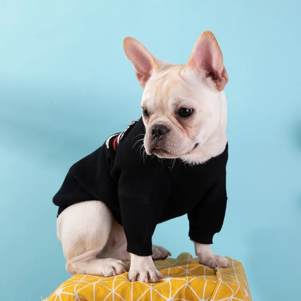 Luxury Designer High Quality Pet Sweaters