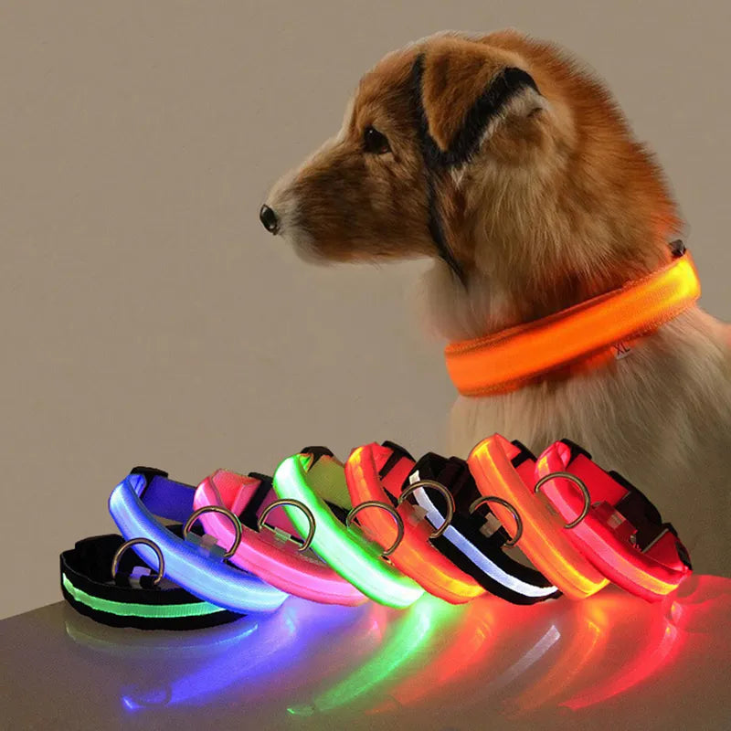 Led Dog Light Anti-lost Collar