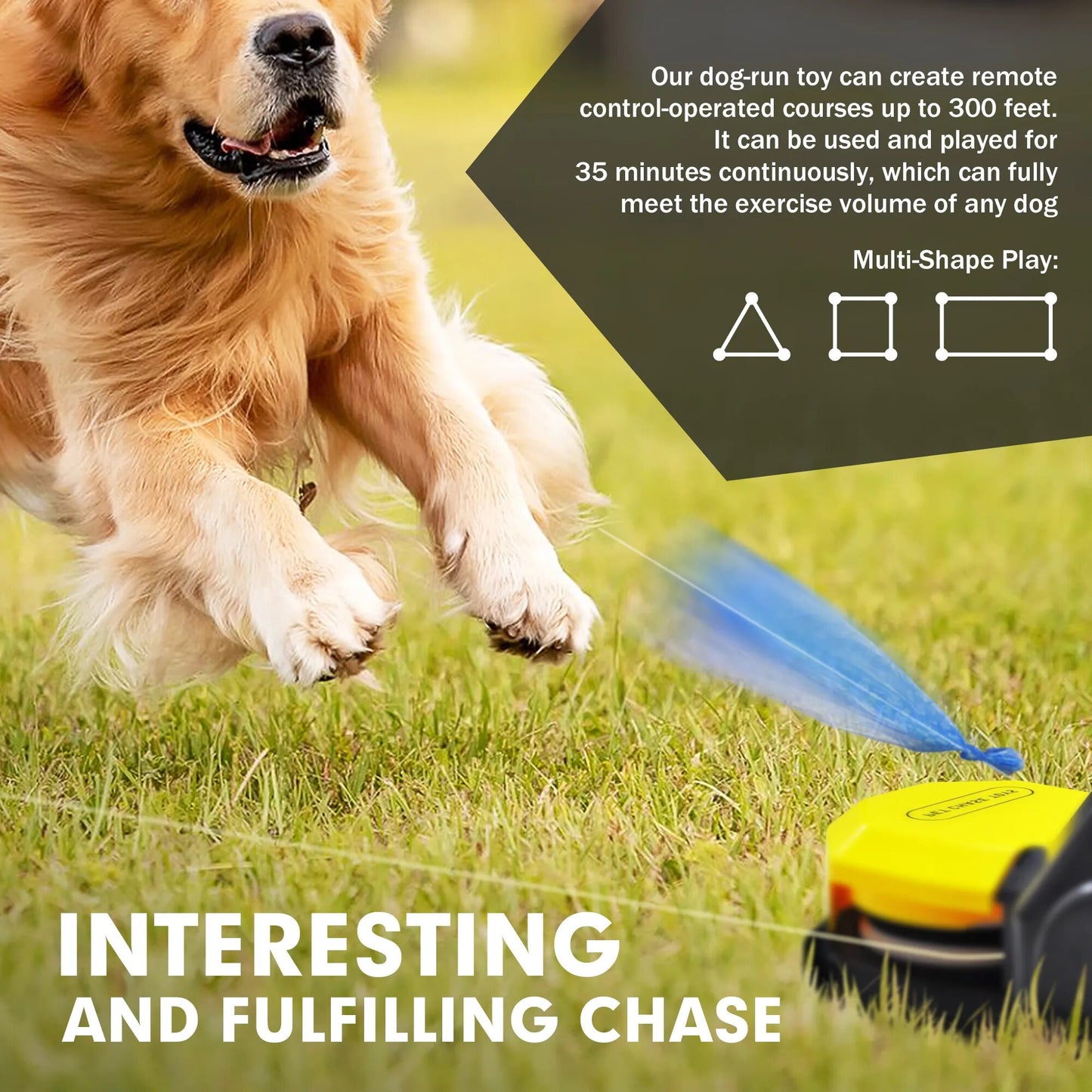 Interactive Agility Training Equipment and Toys for Dogs