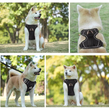 No Pull Reflective Dog Harness with 2 Leash Clips