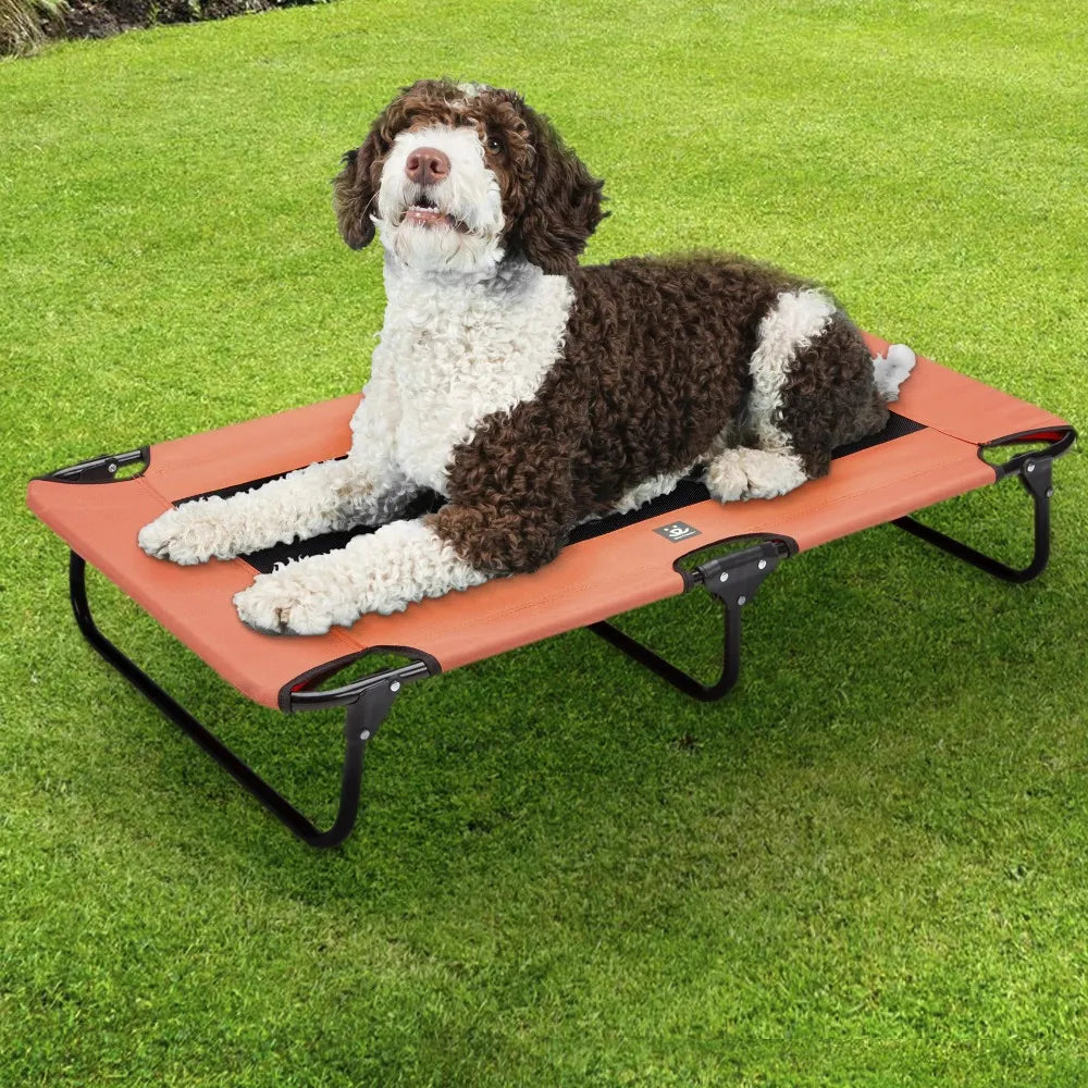 Folding Dog Cot mesh with foldable legs – blessedpetscollection