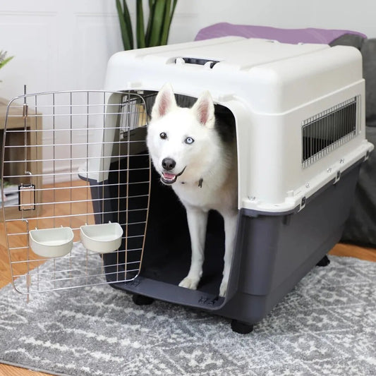 Doghouse Airline Approved Kennel Carrier