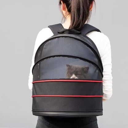 2 in 1 Cat Expandable Transporter Carrier