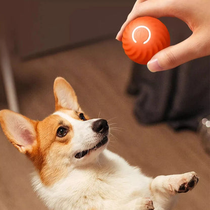 Smart Dog Toy Ball Electronic Interactive Pet Toy Moving Ball USB Automatic Moving Bouncing for Puppy Birthday Gift Cat Product