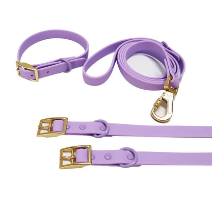 Pet Waterproof Adjustable Dog Collar and Leash Set