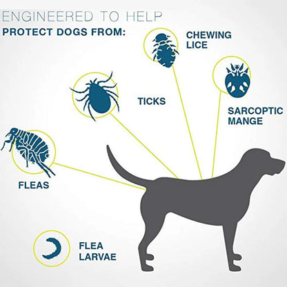 Prevention Flea and Tick Collar