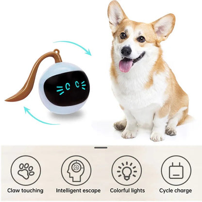 Auto Interactive Pet Electric USB Ball Toy