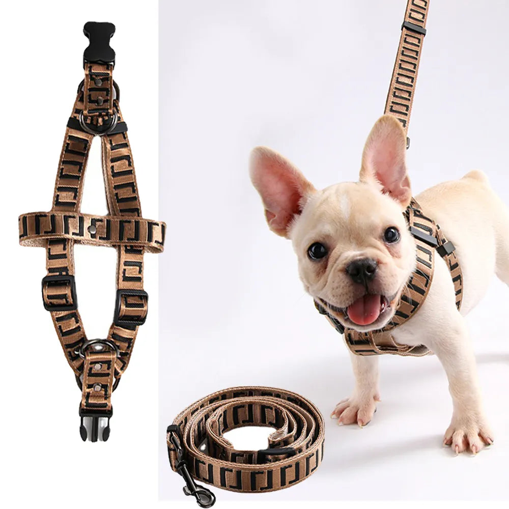 Luxury Designer Fashion Harness and Leash Collar Set