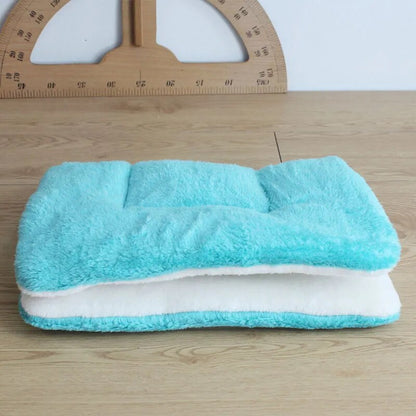 Pet Flannel Thick Sleeping Mat and Blanket