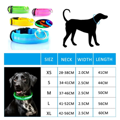 Led Dog Light Anti-lost Collar