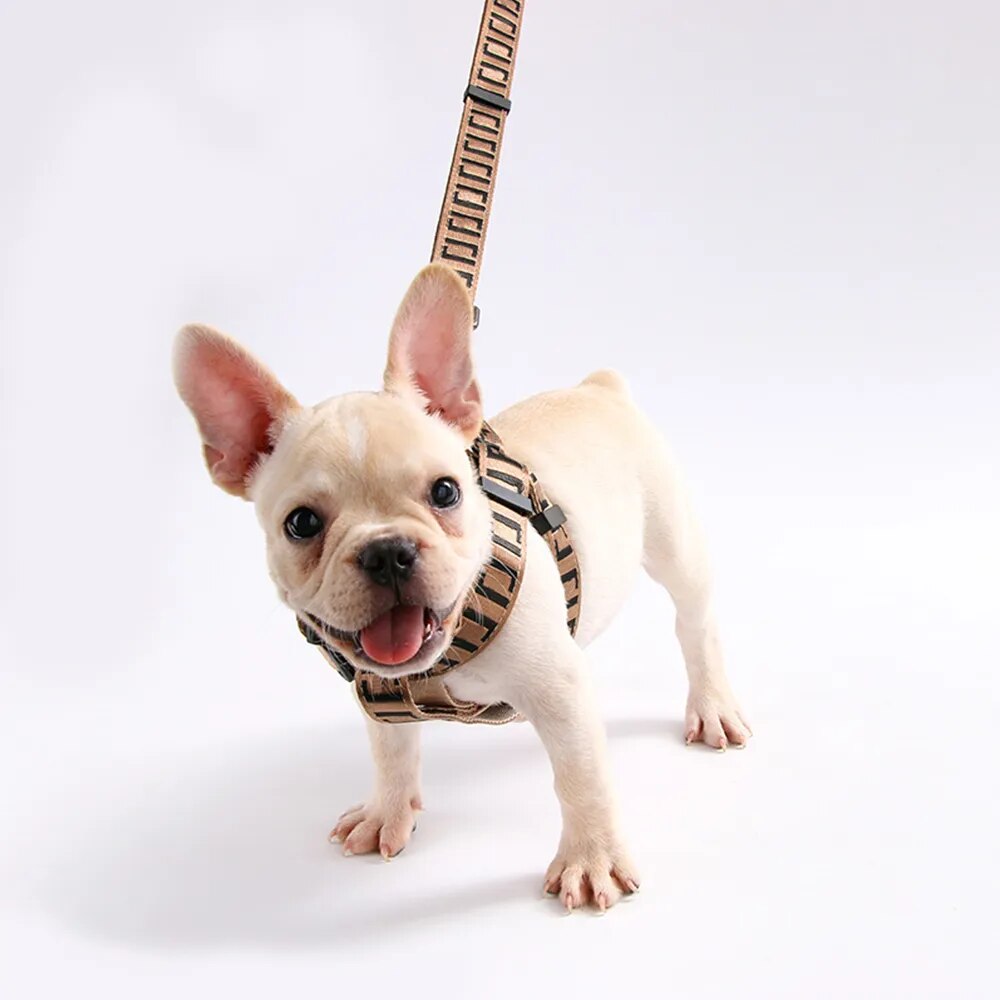 Luxury Designer Fashion Harness and Leash Collar Set