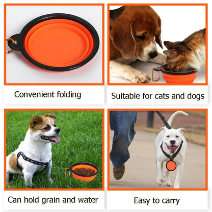 Folding Collapsible Feeder and Silicone Water Bowl