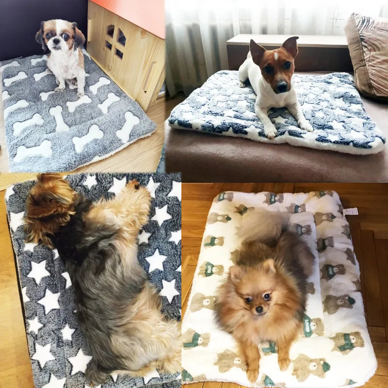 Pet Warm Soft Fleece Blanket