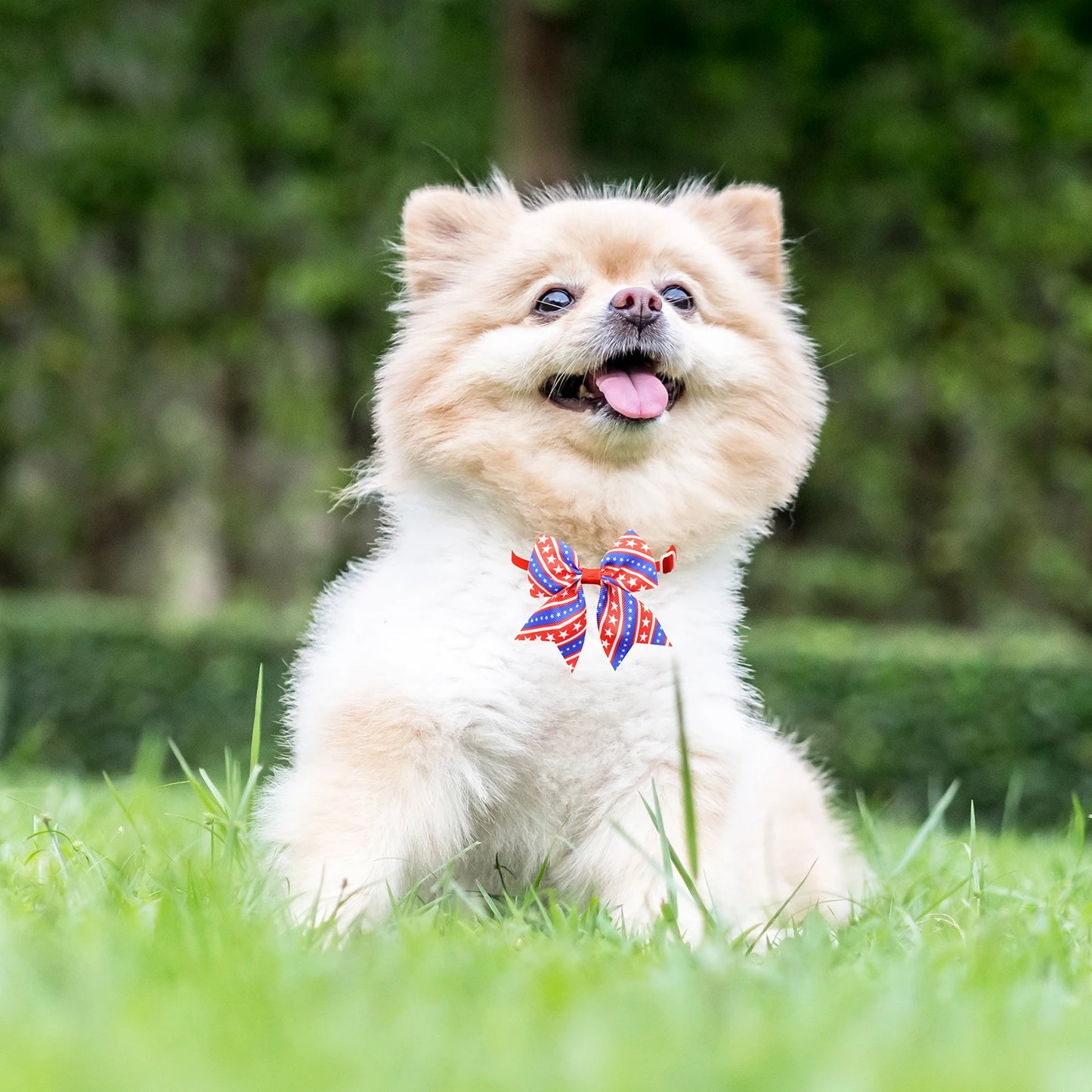 50/100Pcs Patriotic Dog Bows USA Flag Pattern Dog Grooming Bows 4th July Cat Bows Ties Pet Accessories Bowties Neckties For Dogs