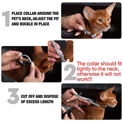 Prevention Flea and Tick Collar