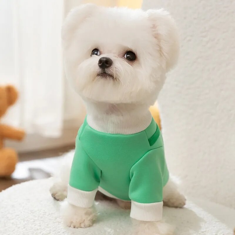 Warm Fleece Cute Bear Dog Harness Clothes