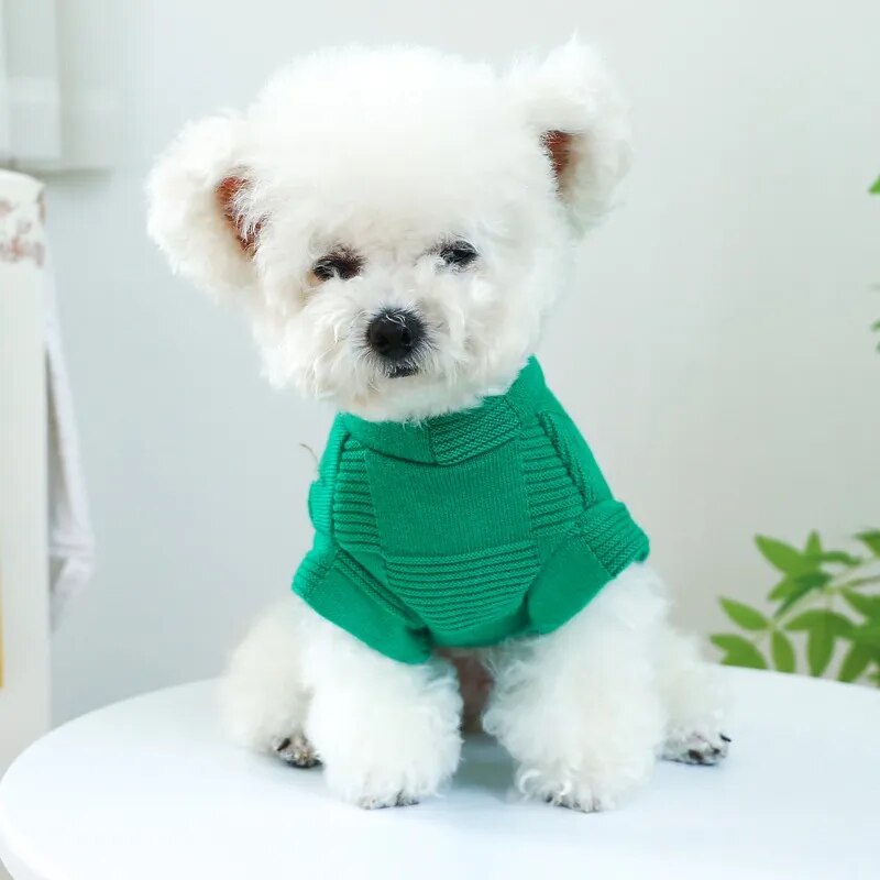 Pet Round-Neck Sweater and Comfortable Shirt