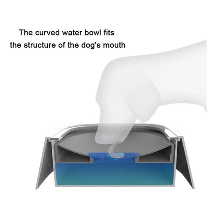 Pet Non-Spill Water Dispenser