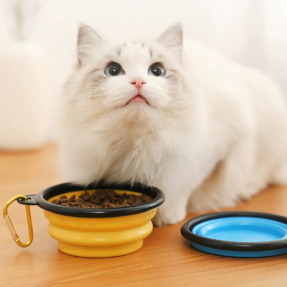 Folding Collapsible Feeder and Silicone Water Bowl