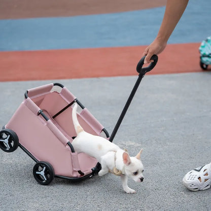 Pet Lightweight and Foldable Cart