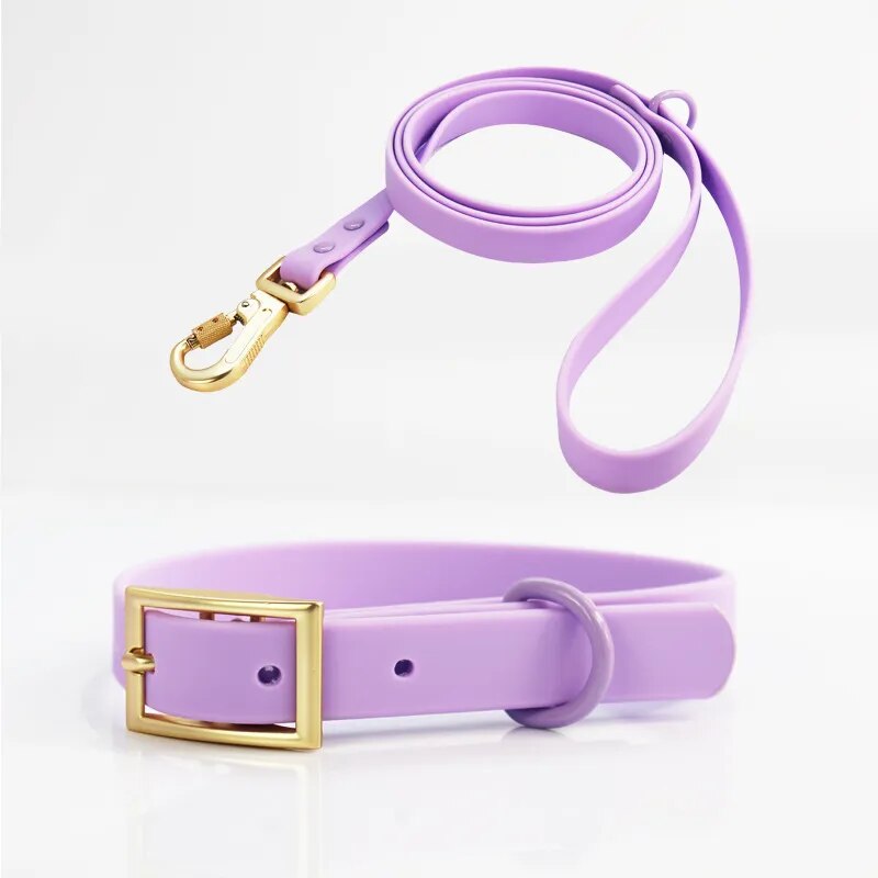 Pet Waterproof Adjustable Dog Collar and Leash Set