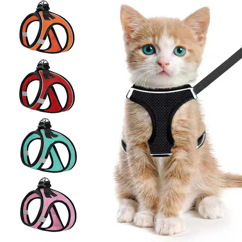 Adjustable Soft Mesh Cat Harness and Leash Set