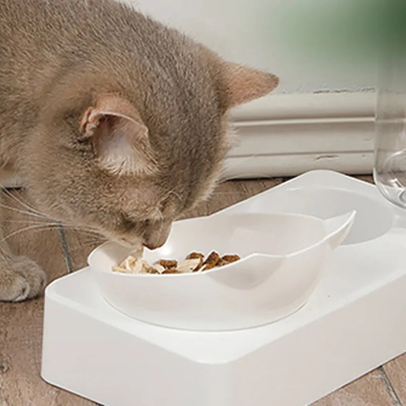 Automatic Pet Food and Drinking Feeder