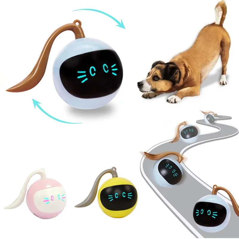 Auto Interactive Pet Electric USB Ball Toy