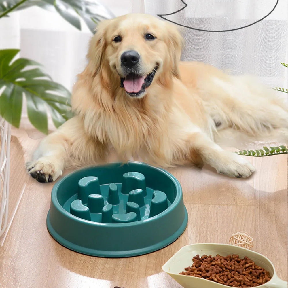 Pet Slow Food Non-Slip Feeder Bowl