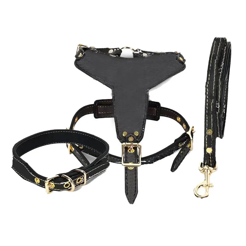 Luxury Waterproof Adjustable Dog Harness And Leash Set