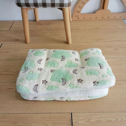 Pet Flannel Thick Sleeping Mat and Blanket