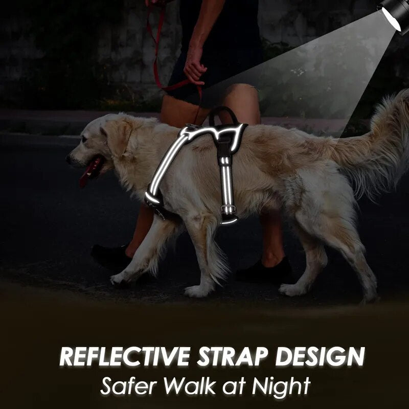 No Pull Reflective Dog Harness with 2 Leash Clips